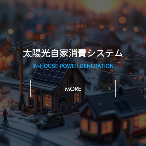 自家発電システム